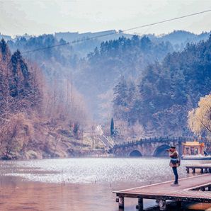 猴子過河看圖寫話